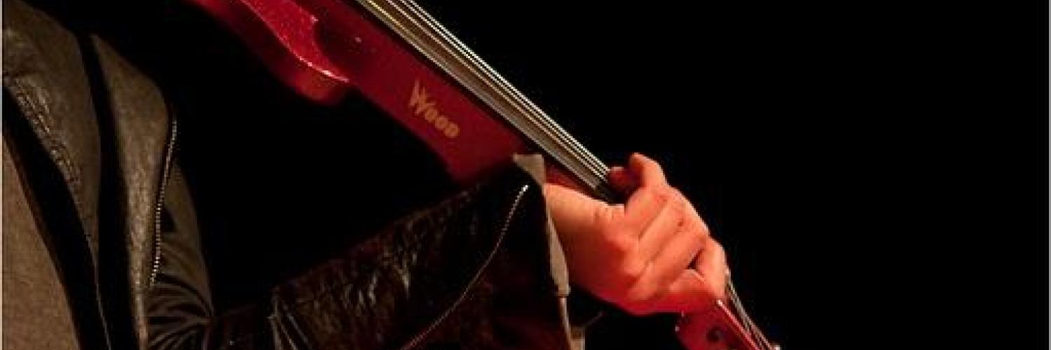 Violin Mark Wood Sabre 5-String